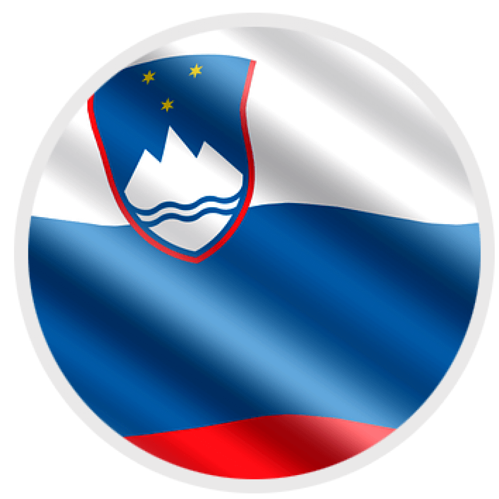 si-flag-logo.png