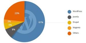 wordpress stat