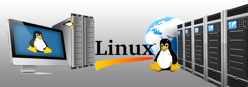 Best Guide | What Can You Do With Linux VPS Hosting (Besides Host Websites)