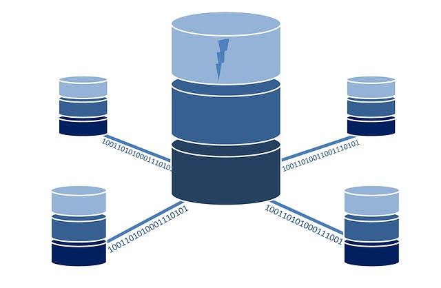 Linux VPS server database
